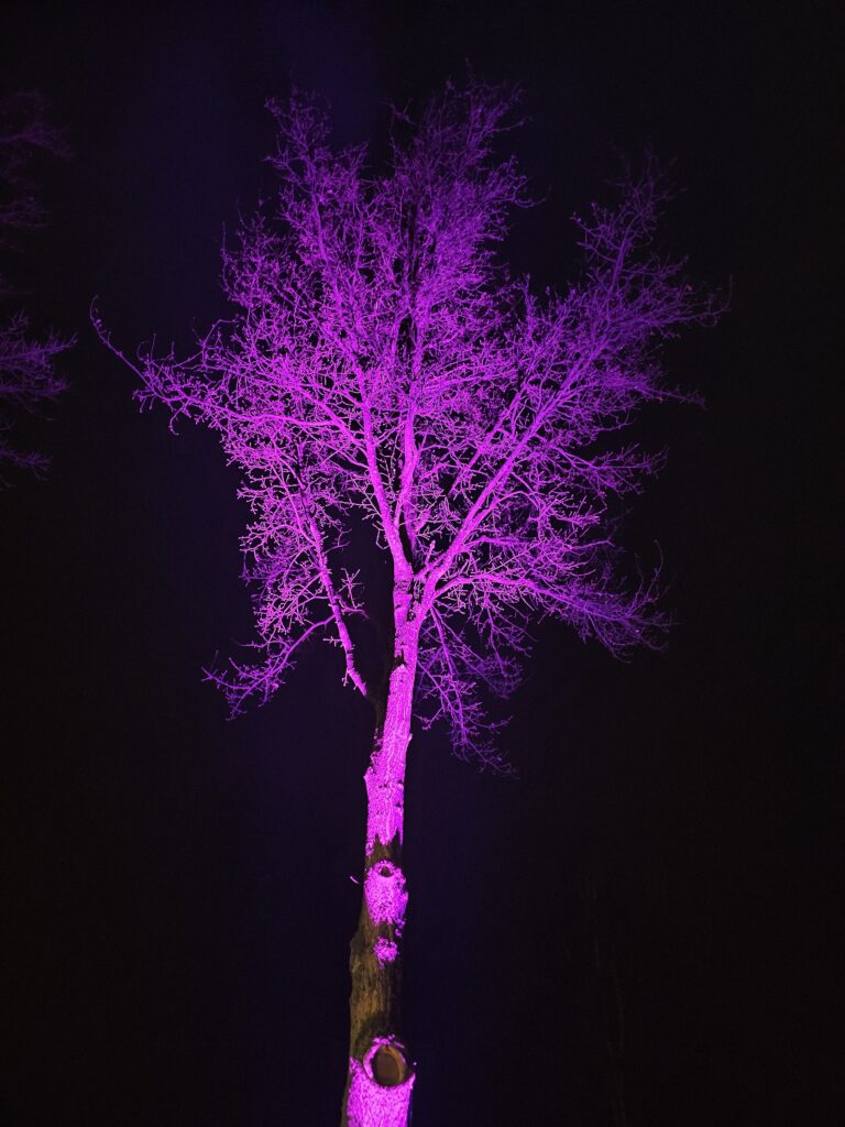 Ambiente Beleuchtung